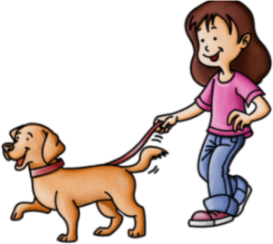 Pet Sitting Services - Dog Walking2